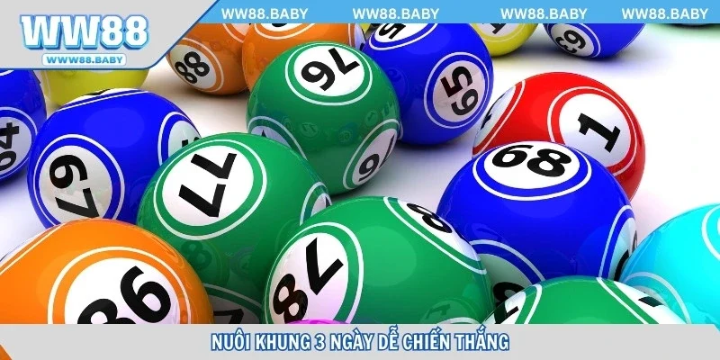 Nuôi khung 3 ngày dễ chiến thắng thưởng lớn