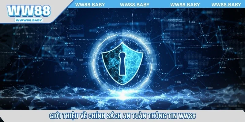 Giới thiệu về chính sách an toàn thông tin WW88