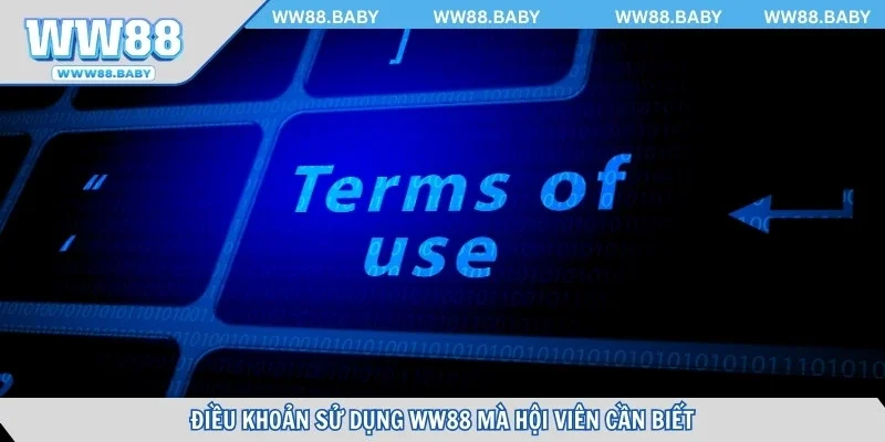 Điều khoản sử dụng WW88 cần biết khi nhận ưu đãi