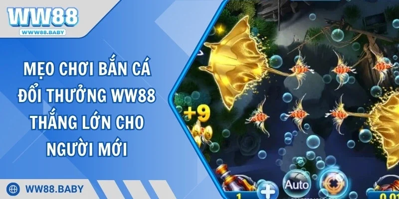 Mẹo Chơi Bắn Cá Đổi Thưởng