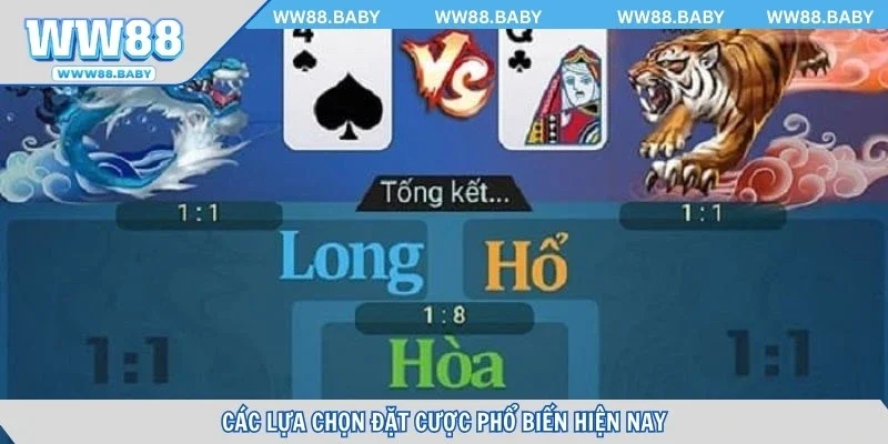 Tổng hợp cửa cược chính trong mỗi bàn cược live