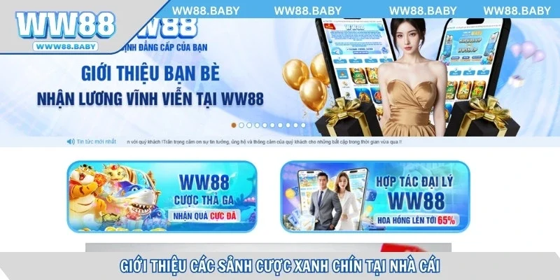 Giới thiệu các sảnh cược xanh chín tại nhà cái