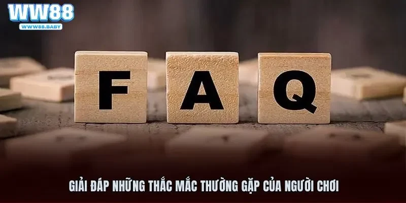 Giải đáp thắc mắc để cá cược hiệu quả tại WW 88