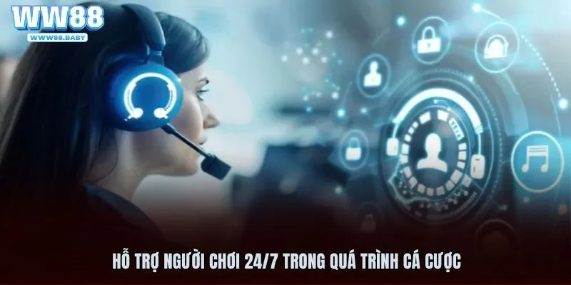 Hỗ trợ 24/7 thông qua mạng xã hội chuyên nghiệp